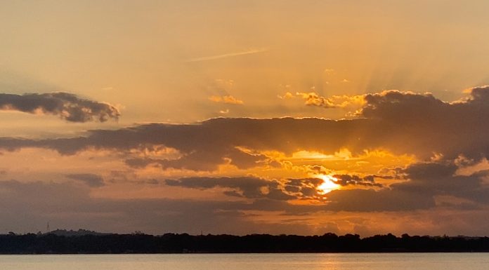 Today The Earth Received The Best Gift Ever!