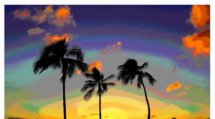 21 Ways To Stay Home, Stay Motivated, And Lessen Stress