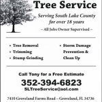 South Lake Tree Service