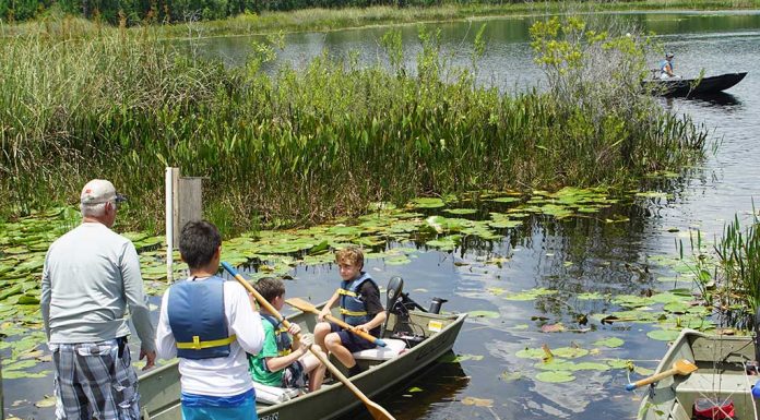 Time To Fish; A Fish Tale