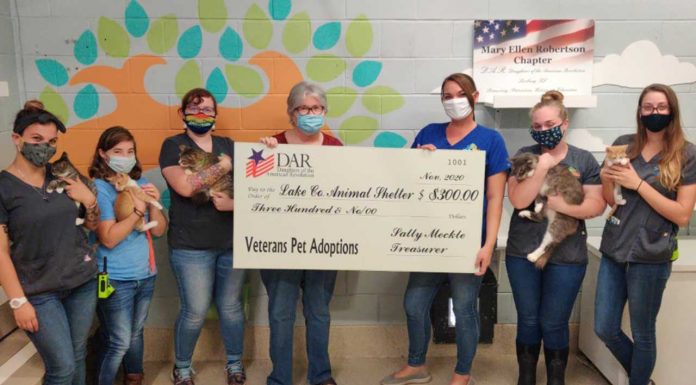 Free Pet Adoptions For Veterans During The Month Of November