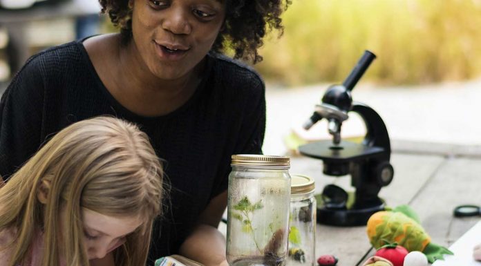 Lincoln Park South Lake Alliance Launches Survey To Gauge Interest in a Community Center