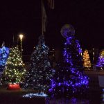 Holiday Enchanted Forest at Night