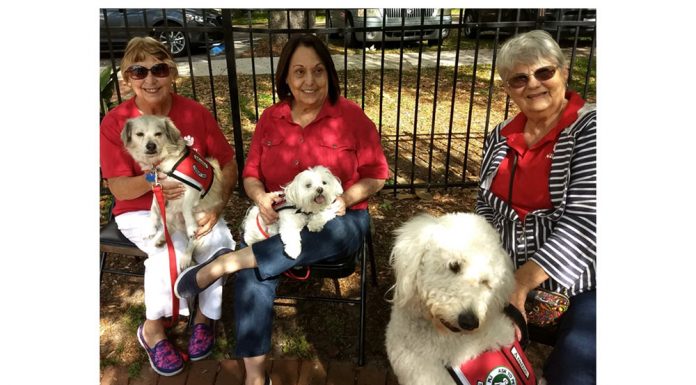 Read To the Dogs And Get A FREE Book At The Minneola Schoolhouse Library (February 2)