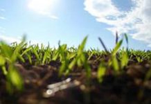Lake County Fertilizer Blackout Starts June 1