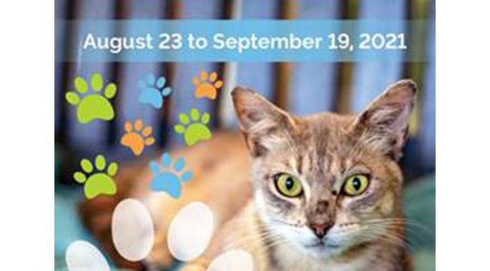 Lake County Animal Shelter Participates In Clear The Shelters™ Adoption Event (Aug 23-Sept 19)