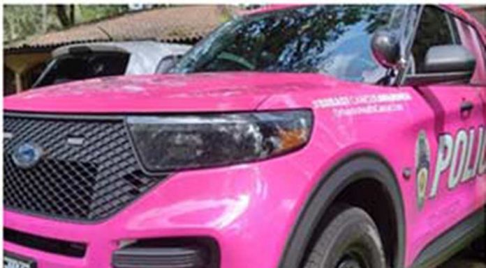 Mascotte Police Department Cruiser for the Cause Fundraising Event and Blood Mobile Drive (October 23)