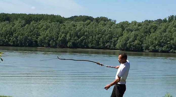 How Did Florida Crackers Get Their Name? Clermont History Will Be Told At Founders Day (Nov 20)