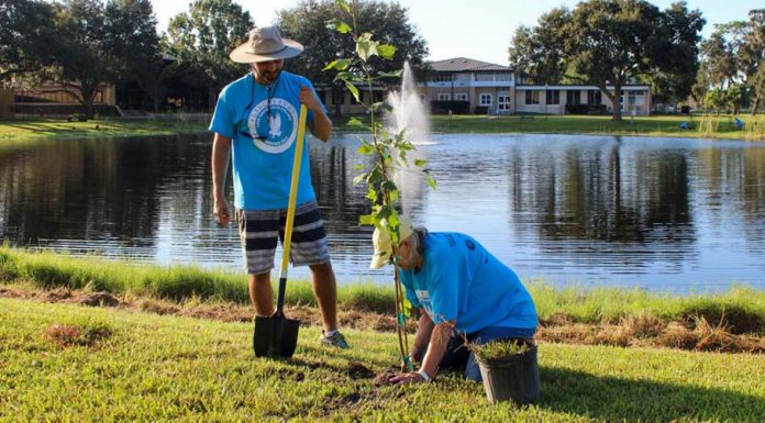 LSSC Partners With Lake Cares Food Pantry For Food Distribution During 2021 Lakehawk Service Day (Oct 22)