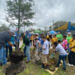 Arbor Day tree planting