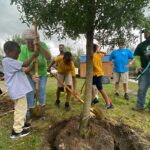 Mayor helps plant tree