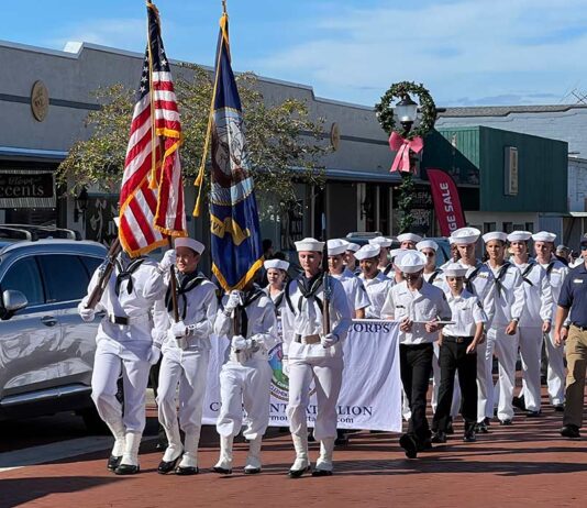 The Community Unite In Gratitude During Veterans Day Parade And Tribute Ceremony