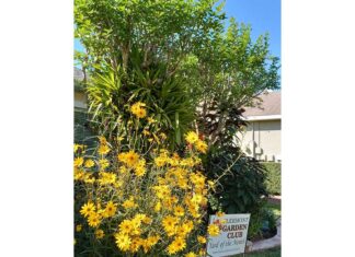 November Yard of the Month Chosen By The Clermont Garden Club