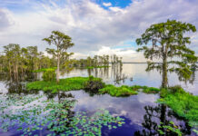 Online Voting Available For Lake County’s 2026 Adopt-A-Lake Program Calendar Photographs