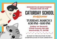 Montverde Residents Invited to “Caturday School Roadshow” On Tuesday, March 3