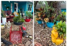 The Yard Of The Month Chosen By The Clermont Garden Club