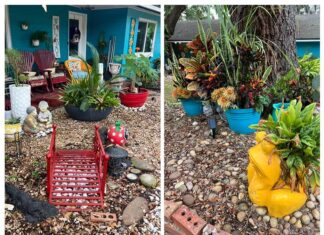 The Yard Of The Month Chosen By The Clermont Garden Club