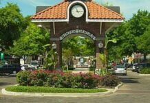 Plant Street Changes Spark Broader Conversation About Growth and Identity