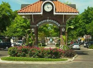 Plant Street Changes Spark Broader Conversation About Growth and Identity