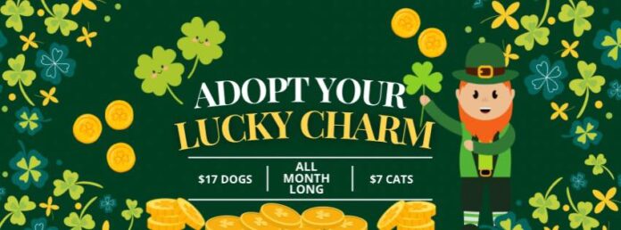 643753387_1431051179061628_2972747780050084204_n