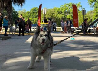 Clermont Hosts Pups In The Park 6th Annual Celebration At Lake Hiawatha