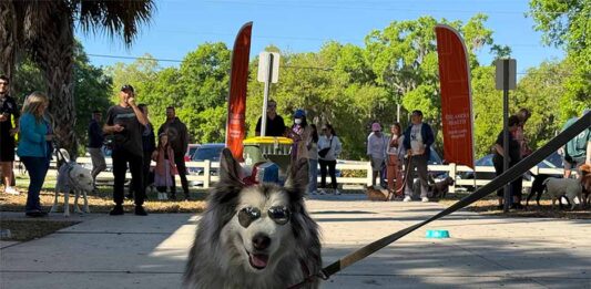 Clermont Hosts Pups In The Park 6th Annual Celebration At Lake Hiawatha