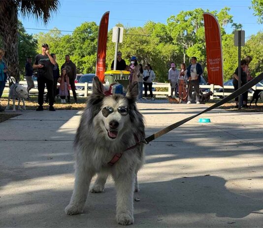 Clermont Hosts Pups In The Park 6th Annual Celebration At Lake Hiawatha