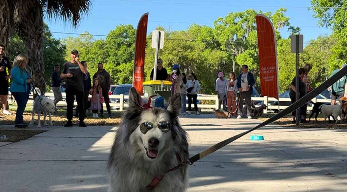 Clermont Hosts Pups In The Park 6th Annual Celebration At Lake Hiawatha