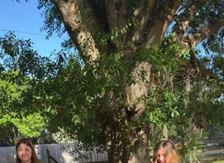 Lionâs Den Mentorship Inc. Creates the Best Easter Ever for Local Youth