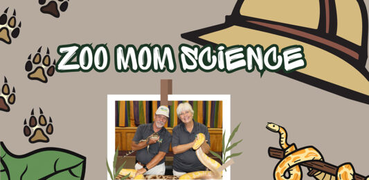 Zoo Mom Science Is Back At Minneola City Hall With More Cool Critters (June 5)