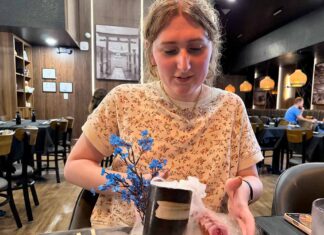 Roll Into Flavor: Kingdom Sushi Brings An All-You-Can-Eat Sushi Adventure to Clermont