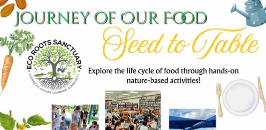 The Journey Of Our Food: Seed To Table Family Summer Reading Program At The Minneola City Hall (June 12)