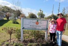 Clermont Garden Club Provides Community Service