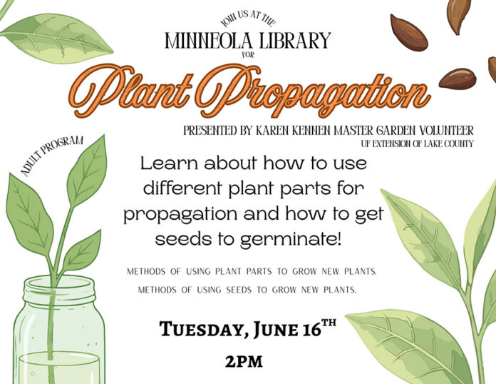 Plant Propagation Flyer June 26