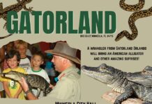 Gatorland is coming to Minneola! FREE Library Summer Reading Event At The Minneola City Hall Gym (July 17)