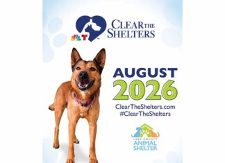 Lake County Animal Shelter Participates in “Clear the Shelters” Adoption Event (August 1-31)