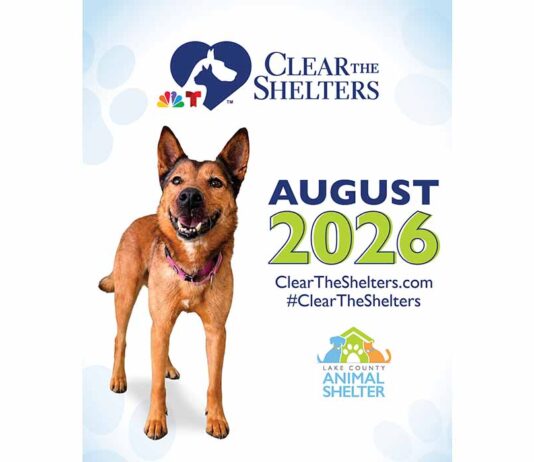 Lake County Animal Shelter Participates in “Clear the Shelters” Adoption Event (August 1-31)