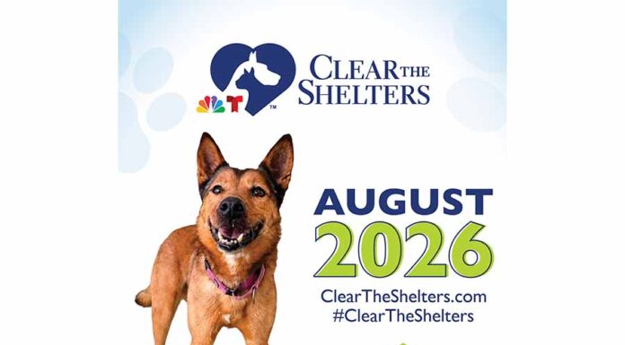 Lake County Animal Shelter Participates in “Clear the Shelters” Adoption Event (August 1-31)