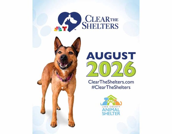 LCAS Clear the Shelters_Promo1