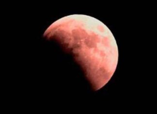 Look Up Tonight: A Rare “Blood Moon” Will Light Up the Sky