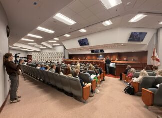 Lake County’s Lands And Trails Committee Votes To Suggest Appraisal For Wilson Island