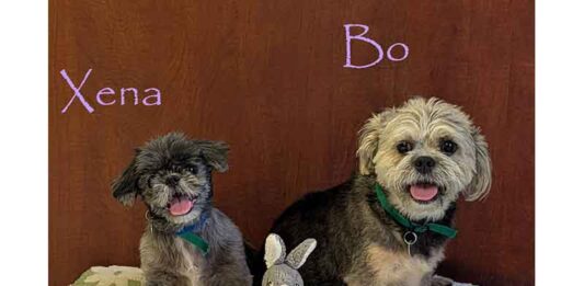 Meet Bo & Xena — A Little Duo With BIG Love!