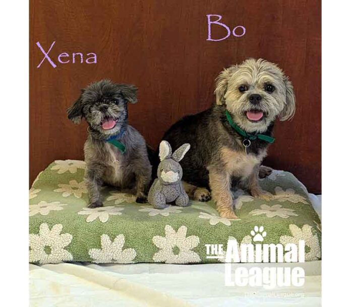 Xena and Bo3