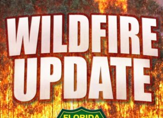 Wildfire Update October 2: Silver Eagle Road Marsh Fire Expands to 281 Acres, 90% Contained