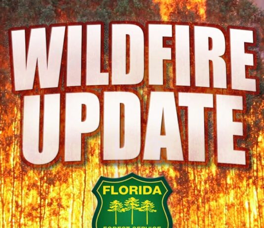 Wildfire Update: Silver Eagle Road Marsh Fire Expands to 250 Acres, 10% Contained