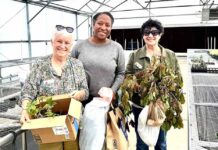 Clermont Garden Club’s Community Services