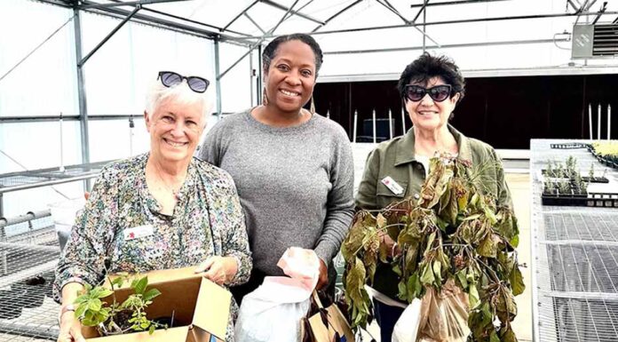 Clermont Garden Club’s Community Services