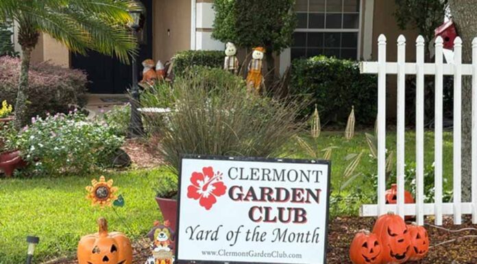 The Yard Of The Month Chosen By The Clermont Garden Club