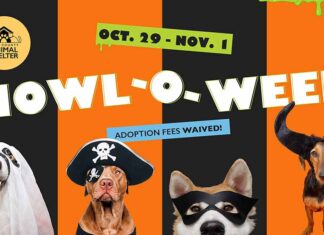 Lake County Animal Shelter Waives Adoption Fees For Four-Day Howl-O-Ween Event