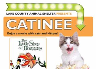 Lake County Animal Shelter Launches “Catinee,” A Monthly Movie Series For Cat Lovers